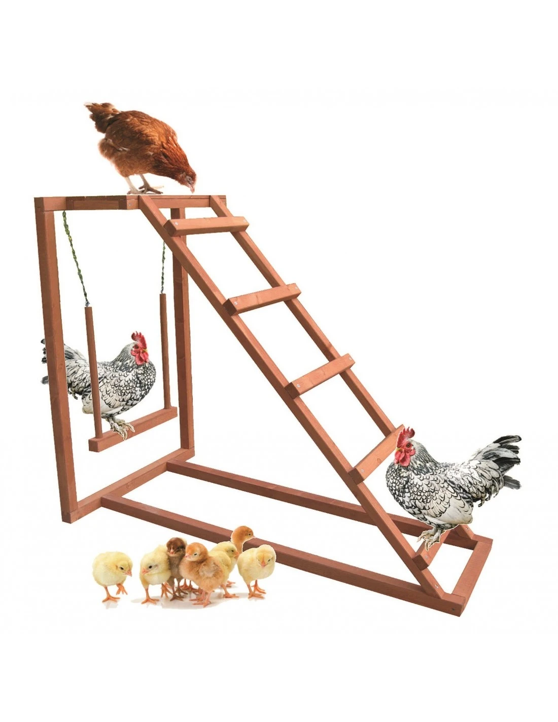 Aire De Jeu Chicken Activity - CPF 4 Aire De Jeu Chicken Activity - CPF - Image 2