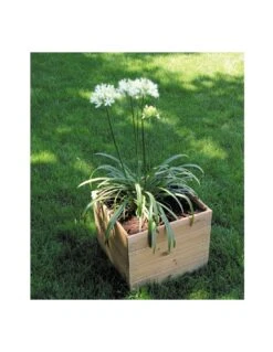 Bac Carré Essencia 40x40 Cm En Bois Traité Autoclave -Cheap Garantia || ESSCHERT DESIGN || Biohort Store bac carre essencia 40x40 cm en bois traite autoclave 1