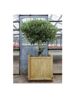 Bac Carré Vendôme En Bois Traité De 70x70 Cm -Cheap Garantia || ESSCHERT DESIGN || Biohort Store bac carre vendome en bois traite de 70x70 cm 2