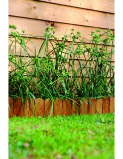 Bordure Pleine En Chêne 114x15/30 Cm -Cheap Garantia || ESSCHERT DESIGN || Biohort Store bordure pleine en chene 114x1530 cm 2