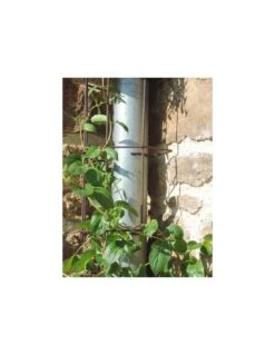 Cache-gouttière Coloris Fer Vieilli -Cheap Garantia || ESSCHERT DESIGN || Biohort Store cache gouttiere coloris fer vieilli 1 1