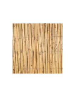 Canisse En Roseau Fendu 1,50 X 5 Mètres - JANY -Cheap Garantia || ESSCHERT DESIGN || Biohort Store canisse en roseau fendu 150 x 5 metres jany 2