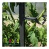 Lot De 6 Attaches Pour Tuteur à Tomate MIKADO 180 Cm - Anthracite / Mosse -Cheap Garantia || ESSCHERT DESIGN || Biohort Store lot de 6 attaches pour tuteur a tomate mikado 180 cm