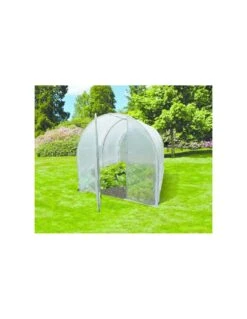 Serre Tunnel Alania 6 M² En PVC Transparent 120 Microns