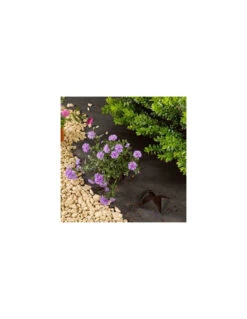 Toile De Paillage 1m X 15 M -Cheap Garantia || ESSCHERT DESIGN || Biohort Store toile de paillage 1m x 15 m 2