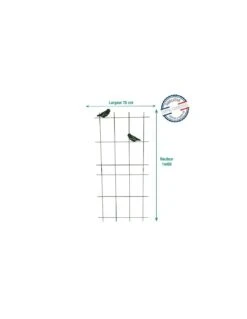 Treillage Mural Oiseau Coloris Fer Vieilli