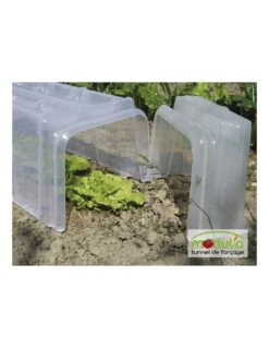 Tunnel De Forçage Modul'o 40 -Cheap Garantia || ESSCHERT DESIGN || Biohort Store tunnel de forcage modul o 40 3