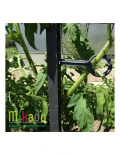Tuteur à Tomate MIKADO 180 Cm - Vert 9 Tuteur à Tomate MIKADO 180 Cm - Vert -Cheap Garantia || ESSCHERT DESIGN || Biohort Store tuteur a tomate mikado 180 cm vert fonce ou anthracite 1 2